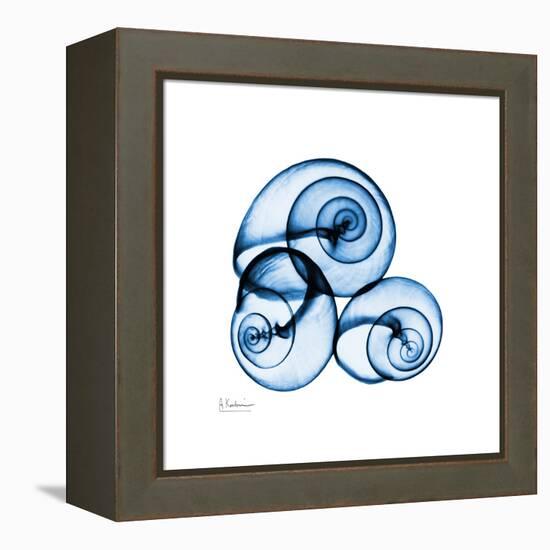 Electric Blue Moonsnails 1-Albert Koetsier-Framed Stretched Canvas