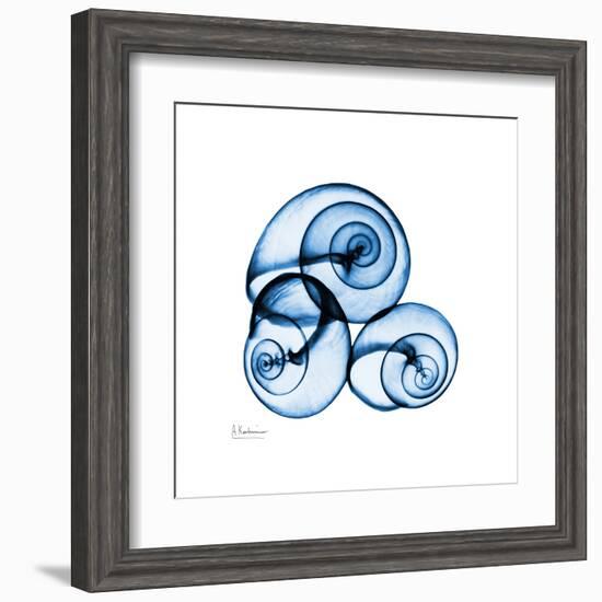 Electric Blue Moonsnails 1-Albert Koetsier-Framed Art Print