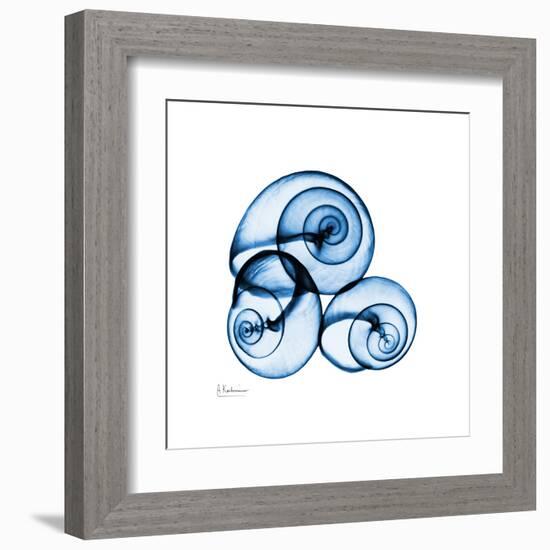 Electric Blue Moonsnails 1-Albert Koetsier-Framed Art Print