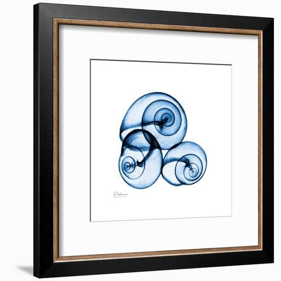 Electric Blue Moonsnails 1-Albert Koetsier-Framed Art Print