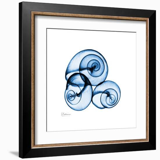 Electric Blue Moonsnails 1-Albert Koetsier-Framed Art Print