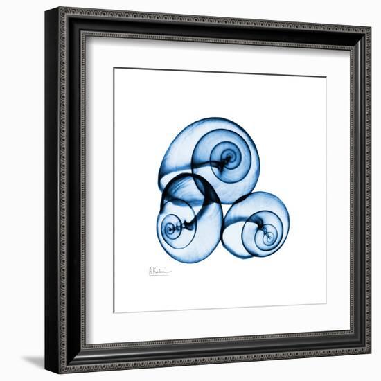 Electric Blue Moonsnails 1-Albert Koetsier-Framed Art Print