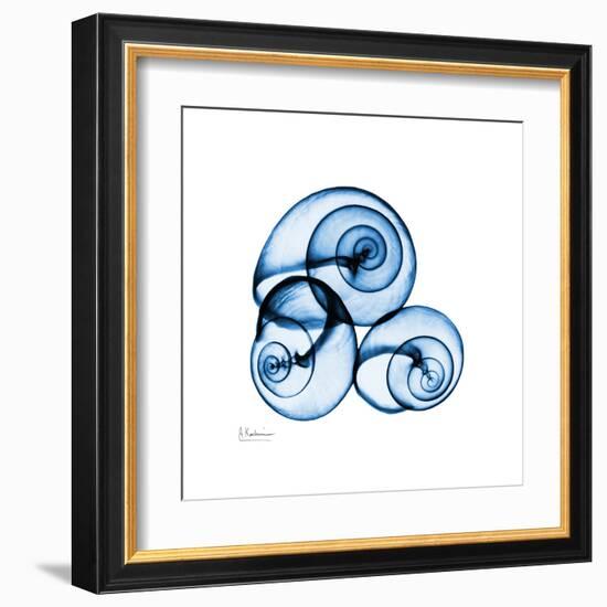 Electric Blue Moonsnails 1-Albert Koetsier-Framed Art Print