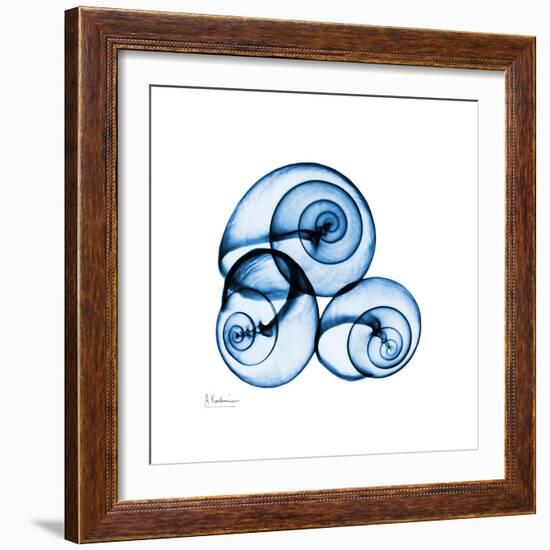 Electric Blue Moonsnails 1-Albert Koetsier-Framed Art Print