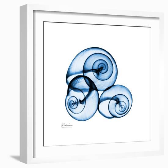 Electric Blue Moonsnails 1-Albert Koetsier-Framed Art Print