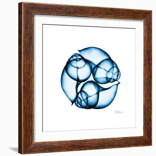 Electric Blue Moonsnails 2-Albert Koetsier-Framed Art Print