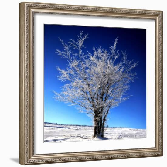 Electric Blue-Philippe Sainte-Laudy-Framed Photographic Print