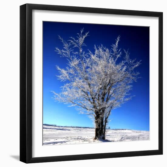 Electric Blue-Philippe Sainte-Laudy-Framed Photographic Print