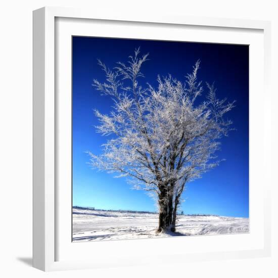 Electric Blue-Philippe Sainte-Laudy-Framed Photographic Print