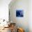 Electric Blue-Miles Morgan-Premium Photographic Print displayed on a wall