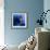 Electric Blue-Miles Morgan-Framed Photographic Print displayed on a wall