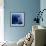 Electric Blue-Miles Morgan-Framed Photographic Print displayed on a wall