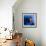 Electric Blue-Miles Morgan-Framed Photographic Print displayed on a wall