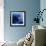 Electric Blue-Miles Morgan-Framed Photographic Print displayed on a wall