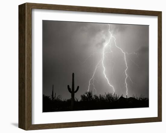 Electric Desert I BW-Douglas Taylor-Framed Photographic Print