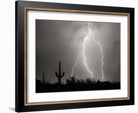 Electric Desert I BW-Douglas Taylor-Framed Photographic Print