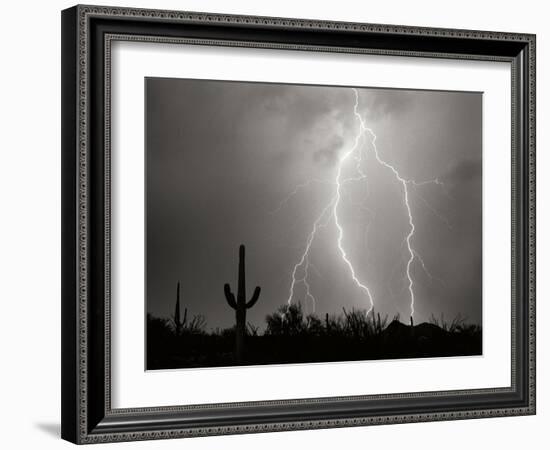 Electric Desert I BW-Douglas Taylor-Framed Photographic Print