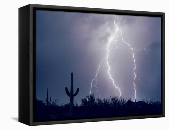 Electric Desert I-Douglas Taylor-Framed Premier Image Canvas