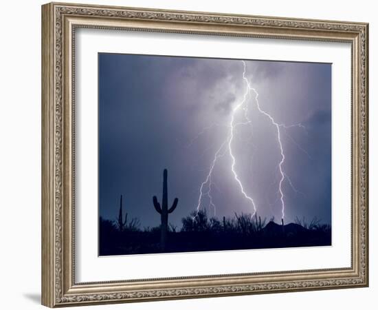 Electric Desert I-Douglas Taylor-Framed Photographic Print