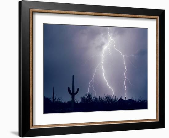 Electric Desert I-Douglas Taylor-Framed Photographic Print