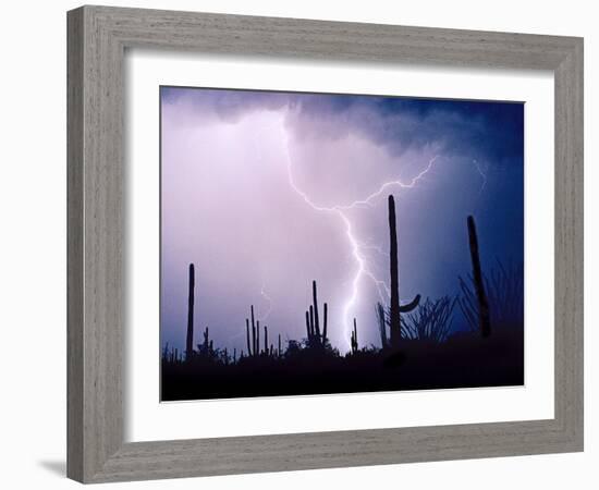 Electric Desert II-Douglas Taylor-Framed Photographic Print