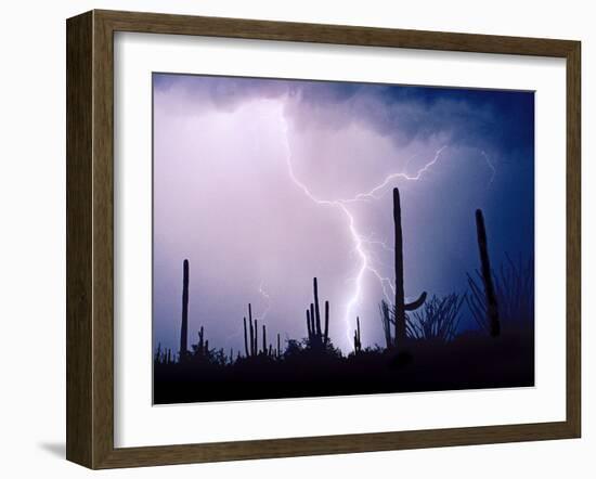 Electric Desert II-Douglas Taylor-Framed Photographic Print