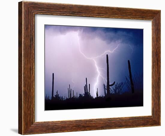 Electric Desert II-Douglas Taylor-Framed Photographic Print