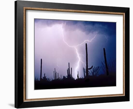 Electric Desert II-Douglas Taylor-Framed Photographic Print