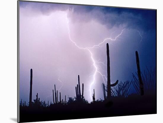 Electric Desert II-Douglas Taylor-Mounted Photographic Print