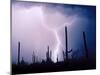 Electric Desert II-Douglas Taylor-Mounted Photographic Print