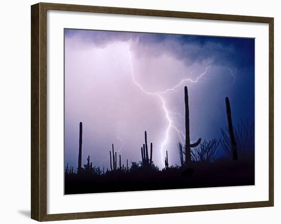 Electric Desert II-Douglas Taylor-Framed Photographic Print