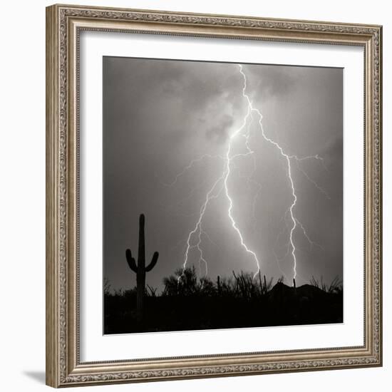 Electric Desert III BW-Douglas Taylor-Framed Photographic Print
