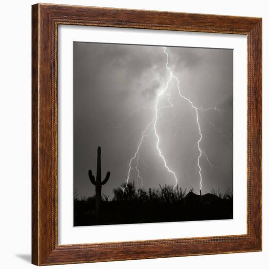 Electric Desert III BW-Douglas Taylor-Framed Photographic Print