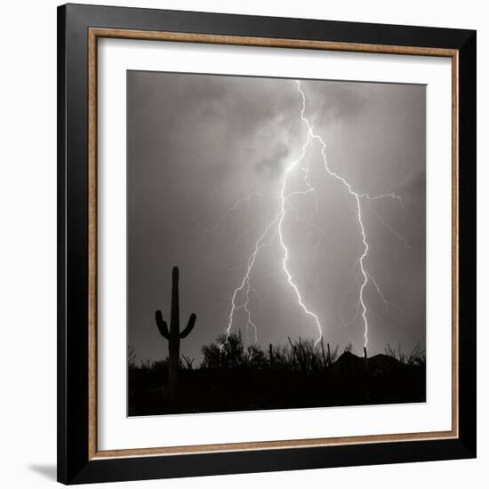 Electric Desert III BW-Douglas Taylor-Framed Photographic Print