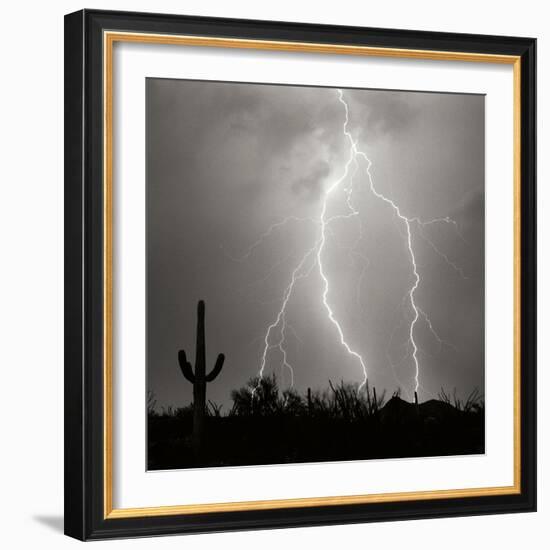 Electric Desert III BW-Douglas Taylor-Framed Photographic Print