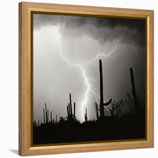 Electric Desert IV BW-Douglas Taylor-Framed Premier Image Canvas