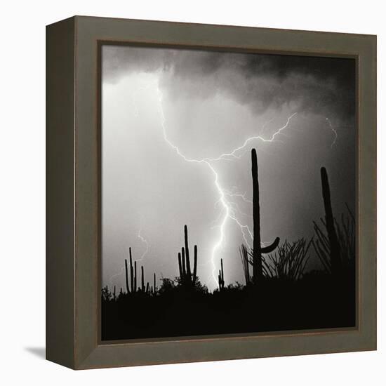 Electric Desert IV BW-Douglas Taylor-Framed Premier Image Canvas