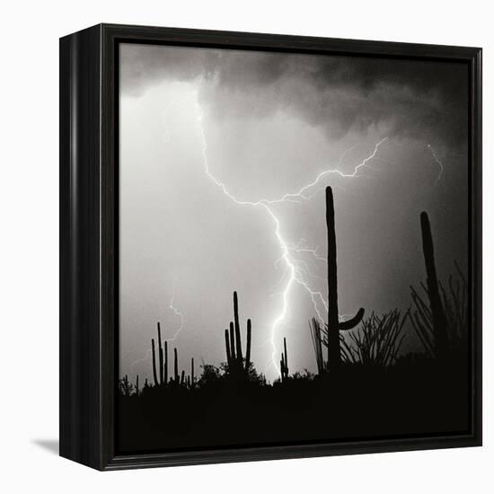 Electric Desert IV BW-Douglas Taylor-Framed Premier Image Canvas