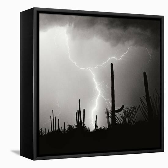 Electric Desert IV BW-Douglas Taylor-Framed Premier Image Canvas