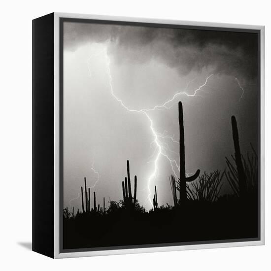 Electric Desert IV BW-Douglas Taylor-Framed Premier Image Canvas