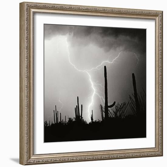 Electric Desert IV BW-Douglas Taylor-Framed Photographic Print