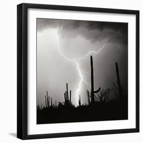 Electric Desert IV BW-Douglas Taylor-Framed Photographic Print