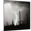 Electric Desert IV BW-Douglas Taylor-Mounted Photographic Print