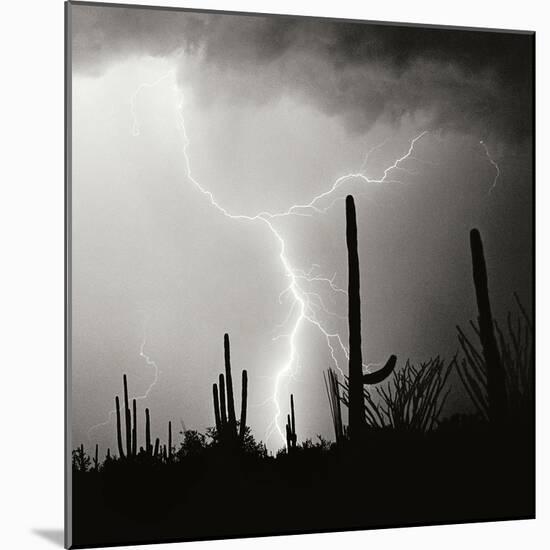 Electric Desert IV BW-Douglas Taylor-Mounted Photographic Print