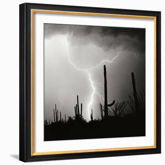 Electric Desert IV BW-Douglas Taylor-Framed Photographic Print