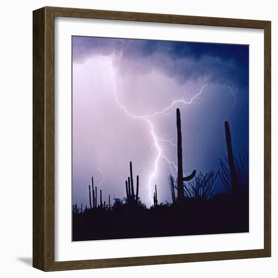 Electric Desert IV-Douglas Taylor-Framed Photographic Print