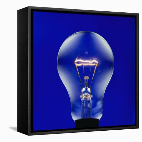 Electric Light Bulb-Lawrence Lawry-Framed Premier Image Canvas