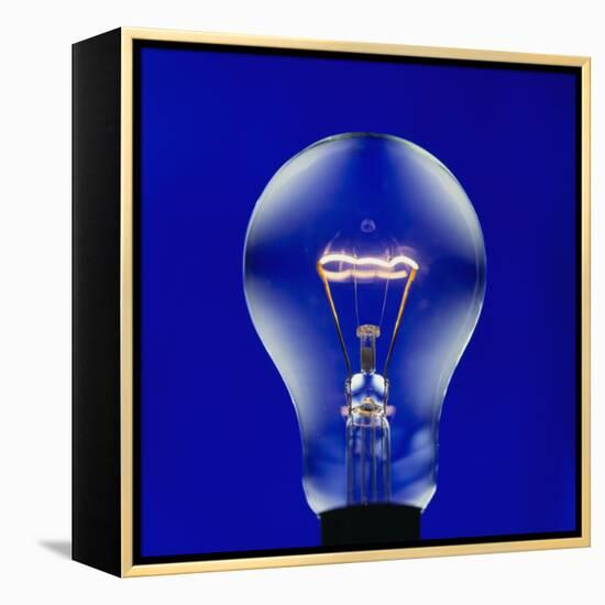 Electric Light Bulb-Lawrence Lawry-Framed Premier Image Canvas