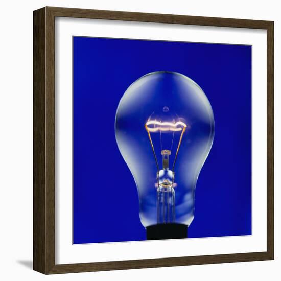 Electric Light Bulb-Lawrence Lawry-Framed Premium Photographic Print