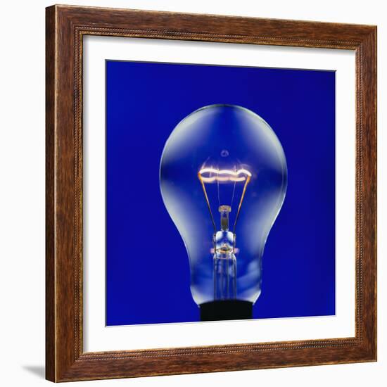 Electric Light Bulb-Lawrence Lawry-Framed Premium Photographic Print